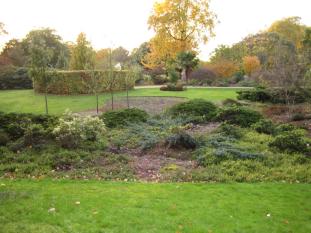 Click for larger image (Walk in The Garden 2)